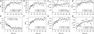 Vertical Stratification of Dissolved Organic Matter Linked to Distinct Microbial Communities in Subtropic Estuarine Sediments